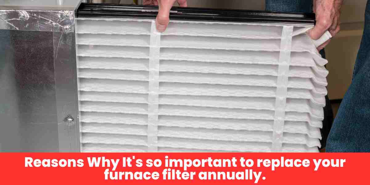 Reasons Why It's so important to replace your furnace filter annually.​